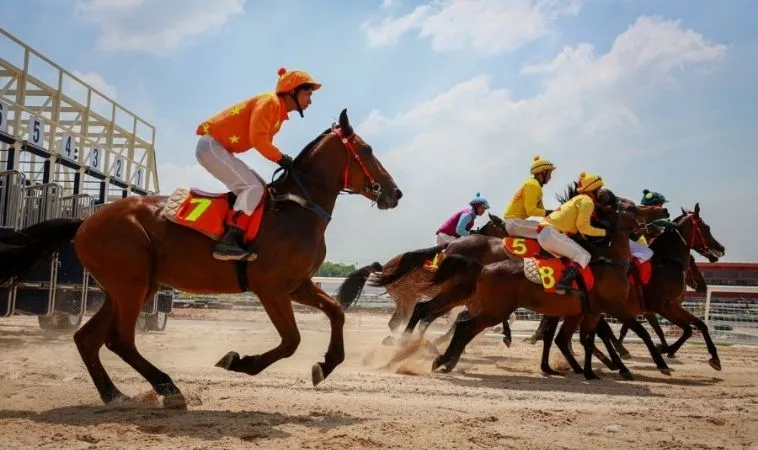 Giải Mã Sức Hút Cá Cược Đua Ngựa MMLive Và Bí Quyết Về Đích 1 Đua Ngựa MMLive